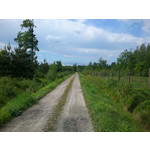 来自这款手机的图片