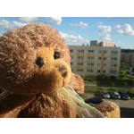 FOTOS AUS DIESEM HANDY