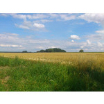 FOTO FATTE CON QUESTO TELEFONO