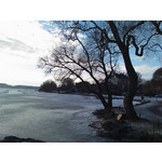 来自这款手机的图片