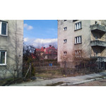 来自这款手机的图片