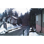 来自这款手机的图片