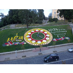 来自这款手机的图片