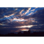 Imágenes de los usuarios Sony Ericsson Xperia X10