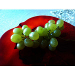 Imágenes de los usuarios Sony Ericsson Xperia X10