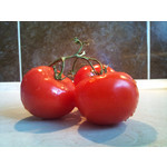 Imágenes de los usuarios Sony Ericsson Xperia X10