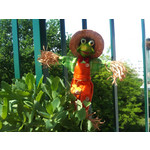 Imágenes de los usuarios Sony Ericsson Xperia X10