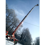 來自這款手機的圖片