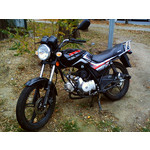 來自這款手機的圖片