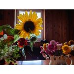 PICTURES FROM THIS PHONE