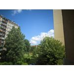 來自這款手機的圖片