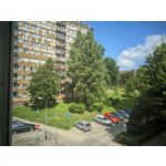 來自這款手機的圖片