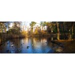 来自这款手机的图片