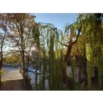 PHOTOS FAITES AVEC CE SMARTPHONE PHOTOS FAITES AVEC CE SMARTPHONE