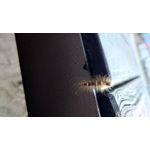 FOTOS AUS DIESEM HANDY