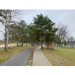 Foto's van de gebruikers Sony Xperia 5 V