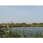 FOTO FATTE CON QUESTO TELEFONO