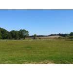 Foto dei utenti Sony Xperia acro S