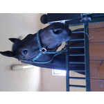 Foto dei utenti Sony Xperia acro S