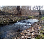 Selbst von Nutzern gemachte Bilder Sony Xperia C