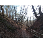 Selbst von Nutzern gemachte Bilder Sony Xperia C