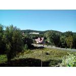 來自這款手機的圖片