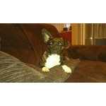 PICTURES FROM THIS PHONE