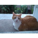 來自這款手機的圖片