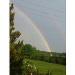 來自這款手機的圖片