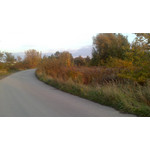 FOTO FATTE CON QUESTO TELEFONO