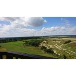 来自这款手机的图片