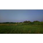 Фотографии пользователя Sony Xperia XA1 Plus Фотографии пользователя Sony Xperia XA1 Plus