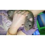 FOTOS AUS DIESEM HANDY