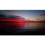 来自这款手机的图片