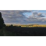 来自这款手机的图片