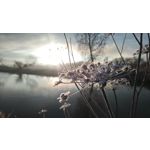 来自这款手机的图片