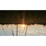 ФОТКИ СНЯТЫЕ ДАННЫМ МОБИЛЬНИКОМ