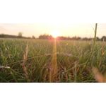 ФОТКИ СНЯТЫЕ ДАННЫМ МОБИЛЬНИКОМ