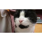 Foto's van de gebruikers Sony Xperia XZ