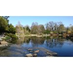 Foto's van de gebruikers Sony Xperia XZ