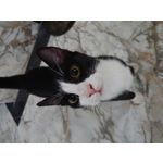 Foto's van de gebruikers Sony Xperia XZ2 Compact