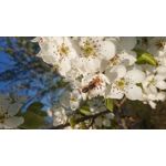 LAS FOTOS HECHAS CON ESTE TELÉFONO