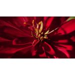 FOTOS AUS DIESEM HANDY