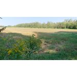 FOTO FATTE CON QUESTO TELEFONO