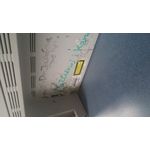 来自这款手机的图片