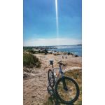 FOTOS AUS DIESEM HANDY