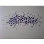 Imágenes de los usuarios Sony Xperia Z2