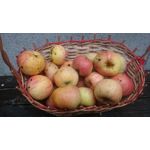 Imágenes de los usuarios Sony Xperia Z2