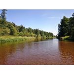 Imágenes de los usuarios Sony Xperia Z2