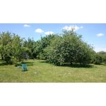 Imágenes de los usuarios Sony Xperia Z2